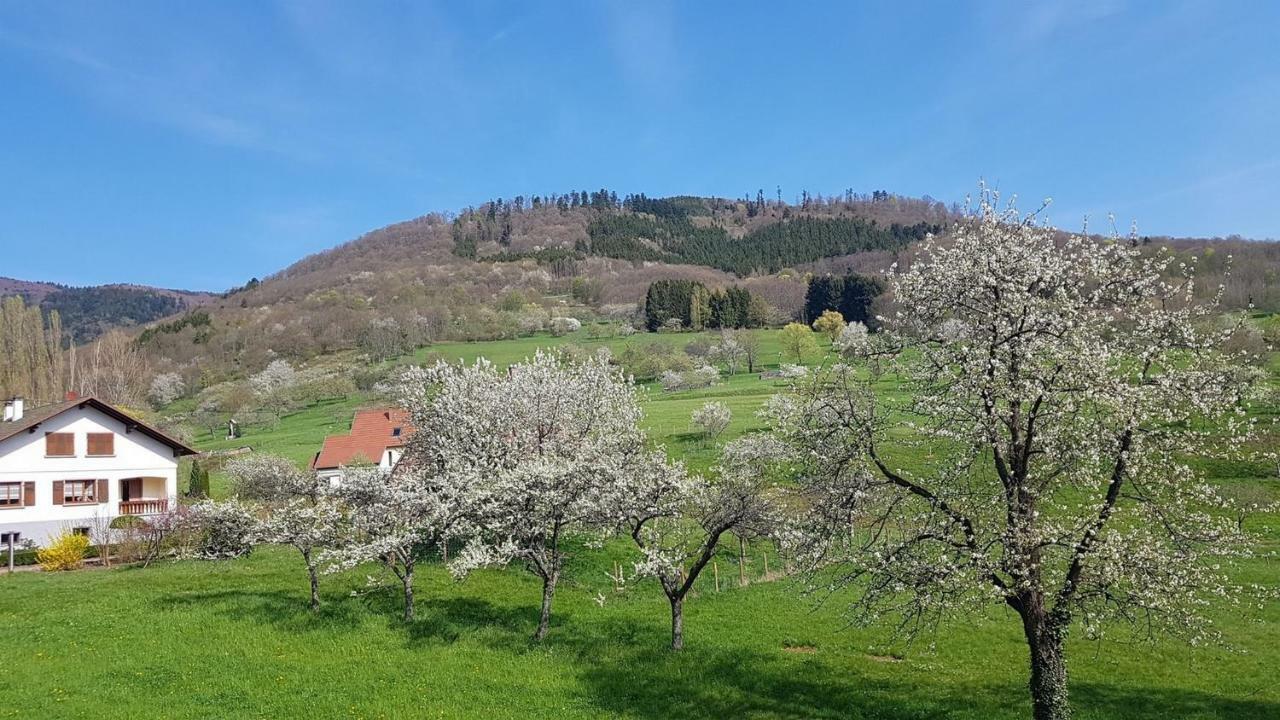 Le Breit Maison De Charme Avec Sa Dependance Breitenbach Екстериор снимка