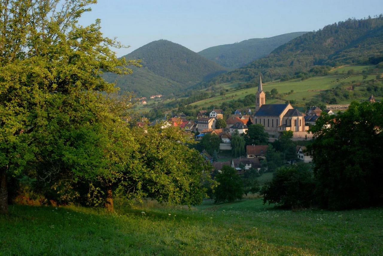 Le Breit Maison De Charme Avec Sa Dependance Breitenbach Екстериор снимка